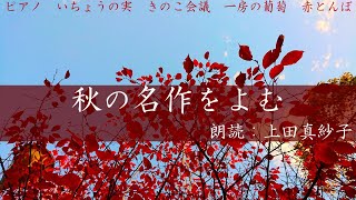 【名作朗読】秋に聴きたい名作５話【作業用】朗読：上田真紗子 心地よい癒しの朗読 聞く小説 [upl. by Haney737]