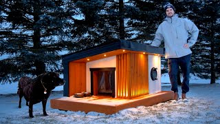 Building a HEATED DOG HOUSE for Canadian Winters [upl. by Etta]