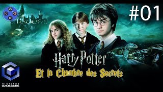 Harry Potter et la Chambre des Secrets 1  Le dégnomage commence [upl. by Tfat623]