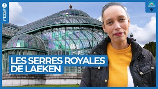 Les serres royales de Laeken  Les Ambassadeurs [upl. by Cerallua]