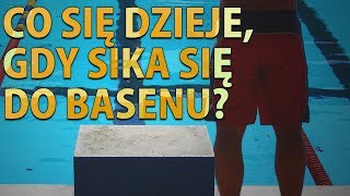 Co się dzieje gdy sika się do basenu [upl. by Egroj750]