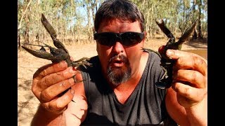 The art of yabbying Catching big black yabbies with drop nets [upl. by Devland]