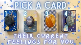 How They’re Currently Feeling About You🥺💙 PICK A CARD🔮 InDepth Love Tarot Reading [upl. by Arytal850]