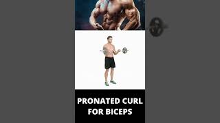 PRONATED STANDING CURL FOR BICEPS [upl. by Eelyah]