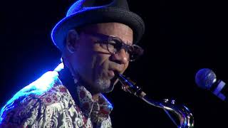 Any Love Live  Kirk Whalum The 8th Annual Jazz Safari Uganda [upl. by Ailev]