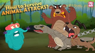 How to Survive Animal Attacks  Bear Dog Shark Komodo Dragon amp Giant Squid  The Dr Binocs Show [upl. by Happ]