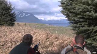 A Hunters Life  Alaskan Giant Brown Bear [upl. by Orecic270]