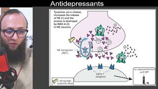 07 35  Inhibition of monoamine oxidase A MAOA and tyramine [upl. by Biles]