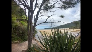 We sailed to PARADISE in Abel Tasman  Tonga Roadstead  Between Sea and Sky Ep 3 [upl. by Kamillah]