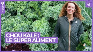 Chou kale  le super aliment au potager facile à cultiver  Jardins et Loisirs [upl. by Joelly]