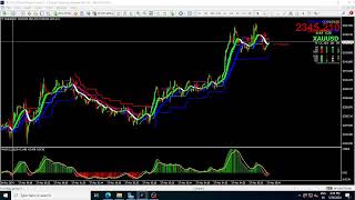 Market Master Indicator Live XAUUSD 1 M Chart [upl. by Ailes]