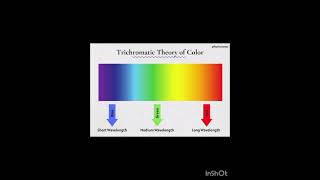 Trichromatic Theory Of Color Vision [upl. by Bethany208]