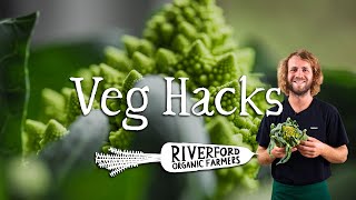 Romanesco Cauliflower  VEG HACKS [upl. by Cychosz842]