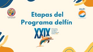 Etapas para el Programa Delfín 2024 [upl. by Dnama]