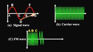 Amplitude Modulation and Frequency Modulation [upl. by Weisman]