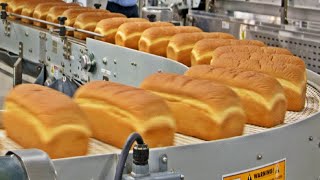 How Millions Of Bread are Made In A Huge Factory 🍞🏭 [upl. by Doralia]