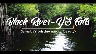 BEST KEPT SECRET Black River Tours and YS Falls in Jamaica [upl. by Isbel]