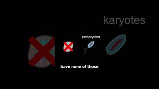 Eukaryotes vs Prokaryotes Whats the Differ follow like medo facts biology [upl. by Adnerak]