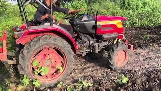 Mahindra jivo 225 di 4x4 performance with cultivator in cotton farm VideoBhandar [upl. by Bartle298]