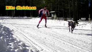 Skijoring 2012 Three Bear Sled Dog Race Skijoring video [upl. by Anaerb325]