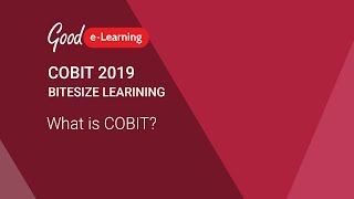 COBIT 2019 Bitesize Learning What is COBIT COBIT 2019 tutorial [upl. by Ahseinad459]