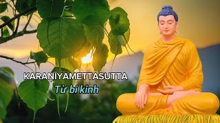 Karaniyamettasutta chanting x2 paliviet sub [upl. by Nassi]