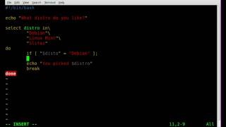 Select Statments in BASH  Linux [upl. by Lilian]