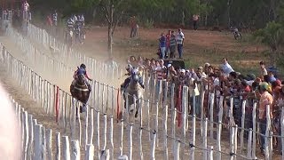 Corrida de Cavalos em Sumé DISPUTA ACIRRADA [upl. by Tewfik]