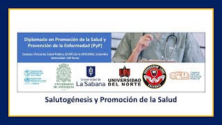 Salutogénesis y Promoción de la Salud [upl. by Hgielrak133]