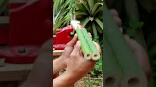 How to make children toy gun from wood  easy to make DIY shorts [upl. by Eesdnil]