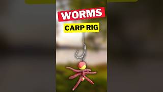 Use Worms on Your Carp Rig Catch More Carp with Worms [upl. by Miller]