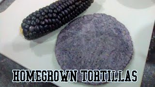 How to Make Masa and Tortillas from Hopi Blue Corn Nixtamalization [upl. by Leonerd]