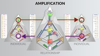 Commentary Amplification [upl. by Eetsirk]