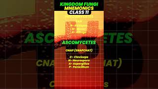 Learn Kingdom Fungi Mnemonics Class 11 Biology📚🔥class11 kingdomfungi vedantuclass11 [upl. by Corri173]