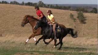 Our cantergallop in slow motion [upl. by Raney]