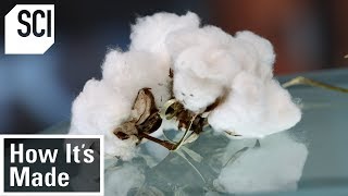 How Cotton is Processed in Factories  How It’s Made [upl. by Ahasuerus]