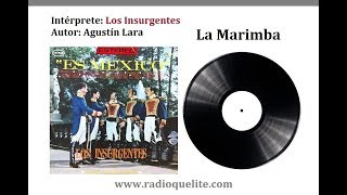 La Marimba  Los Insurgentes [upl. by Ueik]