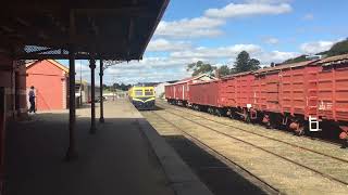 Derm arriving at Daylesford [upl. by Odo]