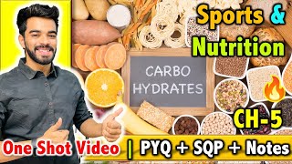 Sports and Nutrition  CH  5  CBSE Class 12th 2024 🔥  FREE Notes [upl. by Tocci680]