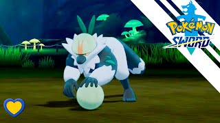 HOW TO GET Passimian in Pokémon Sword version exclusive location [upl. by Gonzalo]