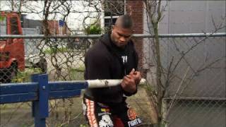 Alistair Overeem  WGP 2010 FINAL  Clip 02 [upl. by Anivle]