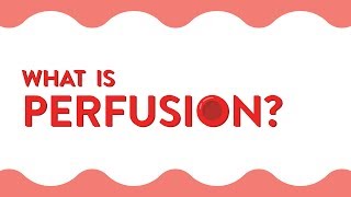 What Is Perfusion [upl. by Fulks]