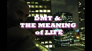 DMT amp The Meaning of Life [upl. by Seluj137]