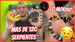 LAS MEJORES SERPIENTES DE DR SNAKE 🐍 PARTE 1 UNA LO MUERDE 🤯 JOSÉ LUIS UGALDE [upl. by Kwok]