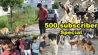 Feeding 100 Street Dogs in One Day  500 subscribers special😍 [upl. by Ataliah887]