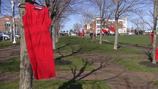 Red dresses not a fashion statement but reminder of missing and murdered Indigenous women and girls [upl. by Mendive690]