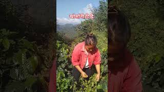 shortvideo villagelife munarai6291 [upl. by Jill]