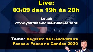 Registro de Candidatura  Passo a Passo  Candex 2020 [upl. by Yatnohs843]