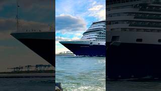 MS Rotterdam 🛳️⚓️like share comment subscribe cruiseship cruise vacation shorts short wow [upl. by Amoakuh]