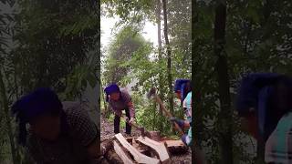 The process of longitudinally cutting a log with an axe [upl. by Anirtep478]